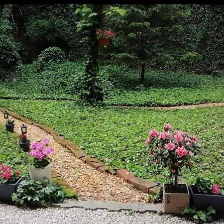 City Centar Apartman With Garden Appartement Zagreb Buitenkant foto